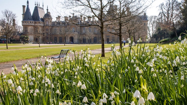 View of Waddesdon Manor in winter with snowdrops in the foreground